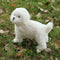 Realistic White Teddy Dog Simulation Dog Puppy Lifelike Handmade Stuffed H9V0
