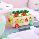 Montessori Toys - Wood Preschool Learning Fine Motor Skills Harvest Game