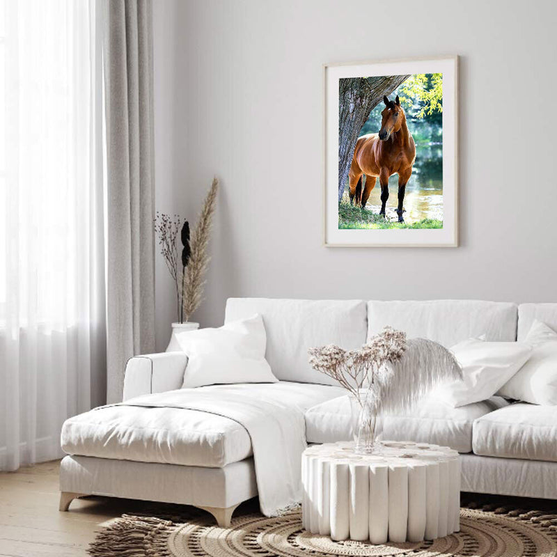 5D DIY Diamond Painting Kits Full Round Drill Horse Mosaic Picture Animal Crafts