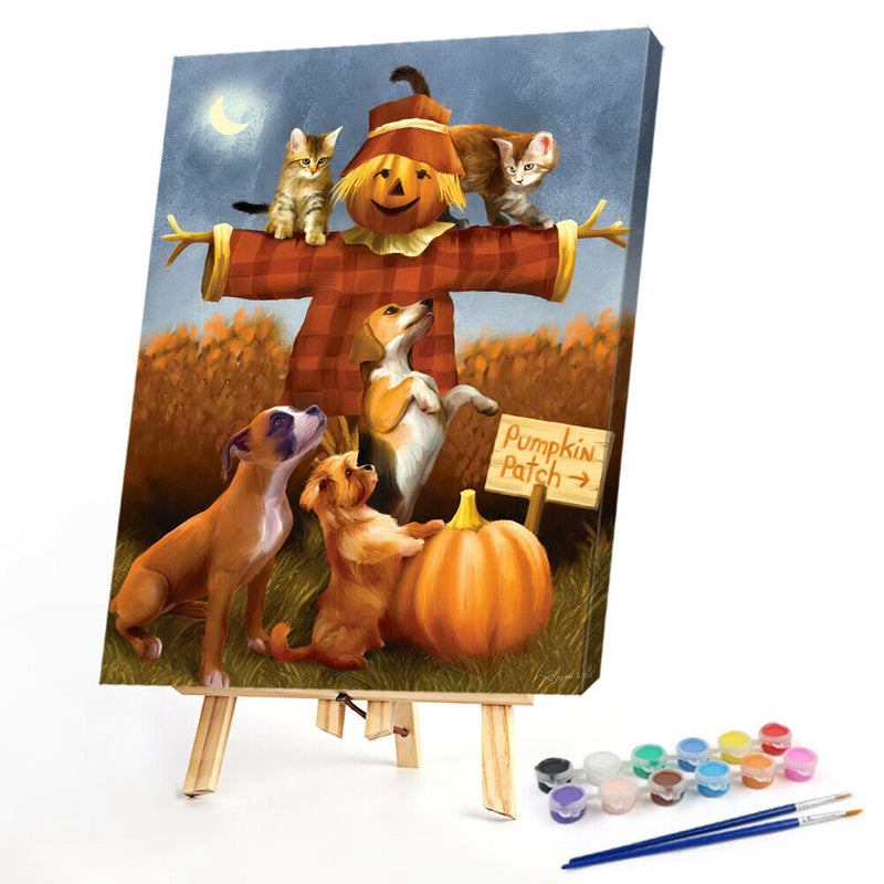 Cat Dog on Scarecrow Oil Paint By Numbers Kit Drawing Picture 40x50cm (B1600)