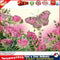 Butterfly Part Drill Special-Shaped Diamond Painting 5D Mosaic Kit (YX049) Newly