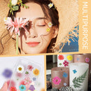 6pcs Dried Flower Material Packages Real Pressed Dry Flowers & Tweezer Kit