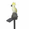 Solar Power LED Parrot Lawn Light Waterproof Garden Landscape Lamp (Yellow)
