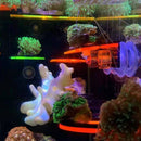 Fish Tank Fluorescence Coral Frag Rack Aquarium Reef with Plug Suction Cup