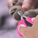 Stainless Steel Pet Dog Cat Nail Clippers Scissors Puppy Cat Toe Care Nail