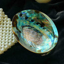 Natürliche Abalone Shell große Muschel Muschel Display Stand Neu Diy T1O3
