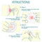 Grade Silicone Frosted Clear Nipple Everters with Storage Case Nipple Protector