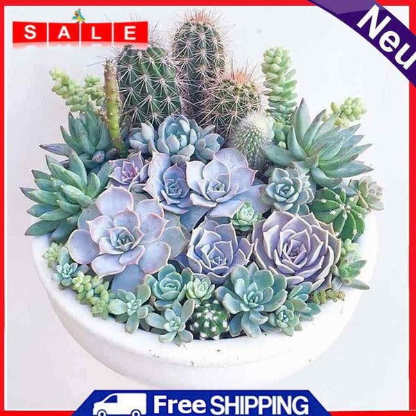 5D DIY Full Round Drill Diamond Painting Succulent Plants Cross Stitch Mosaic