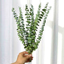 10X Air-dried Flower Eucalyptus Stems Branches Leaves DIY Bouquet Home X8G3 Y8O1