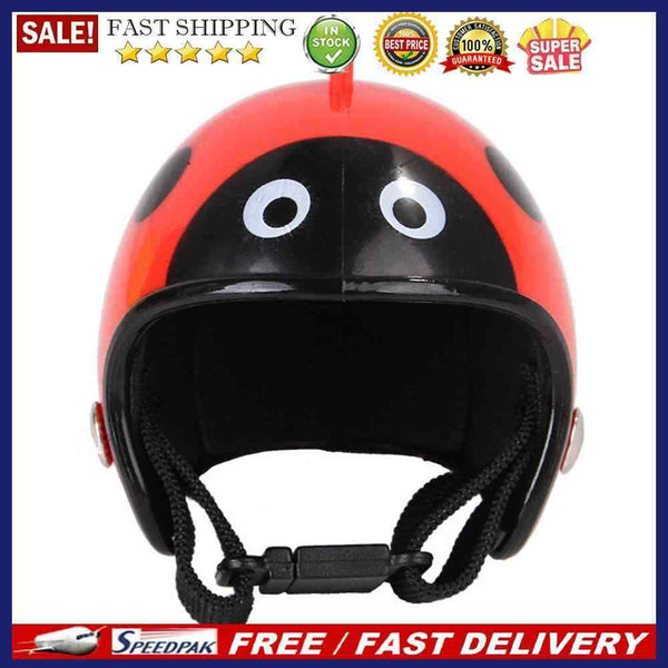 Small Pet Bird Duck Headgear Hat Cute Graffiti Chicken Helmet Poultry Supplie