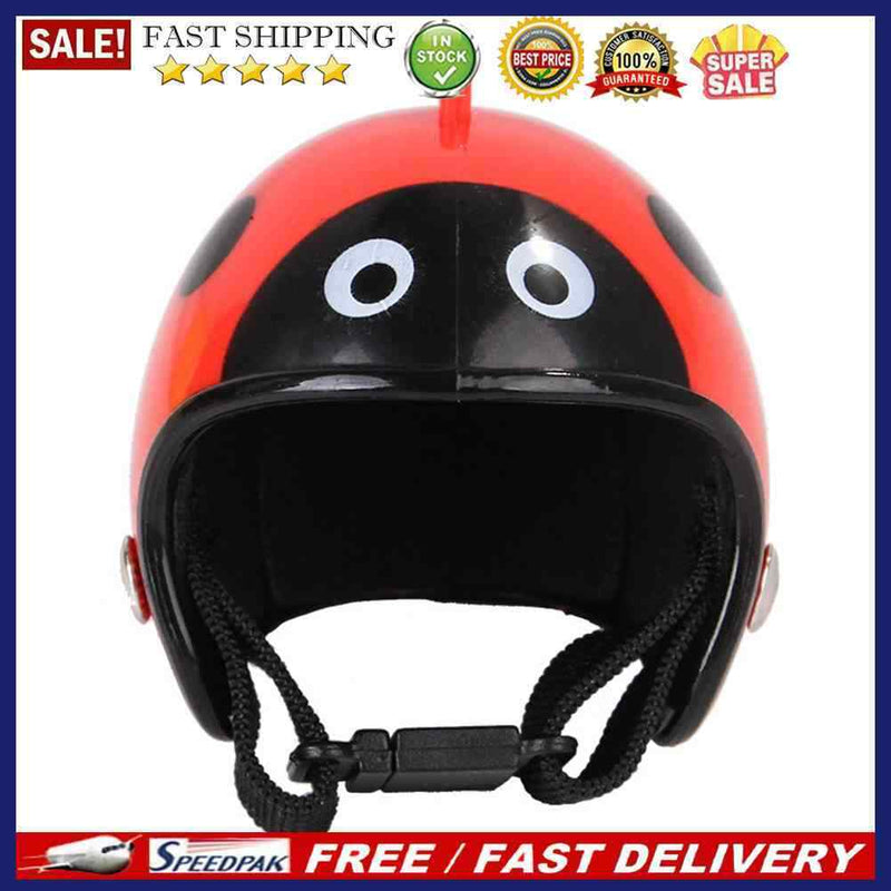 Small Pet Bird Duck Headgear Hat Cute Graffiti Chicken Helmet Poultry Supplie
