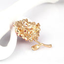 Alloy Flower Brooches Pearls Pin Party Jewelry Brooch Women Clothes Accessories
