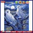 DIY 5D Diamond Painting Full Round Mosaic Owl Handmade Picture Home Decorat