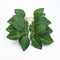 DIY Silk Roses Leaf Gift Weddings Decoratives Flowers Wreath Artificial Leaves