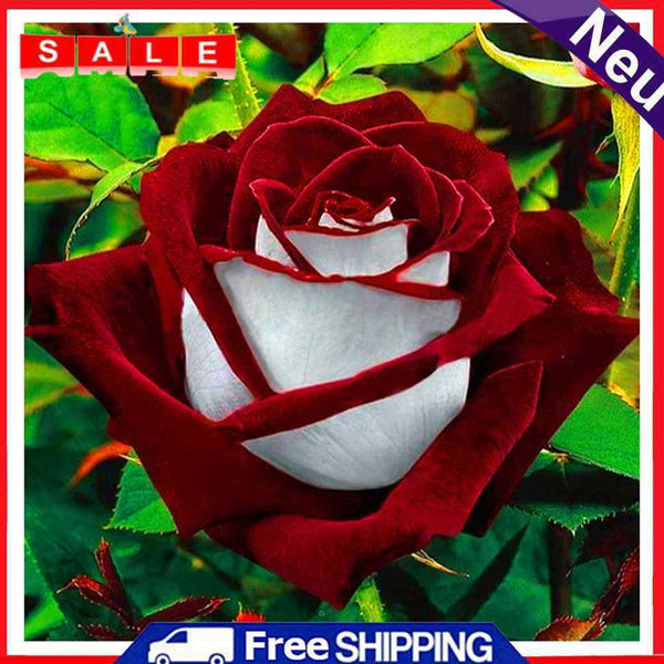 Handmade Valentine Rose 5D DIY Full Round Drill Drawing Kit Art Diamond Painting