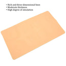 Tattoo Practice Skin For Eyebrows, Permanent Makeup, Microblading Supplies.