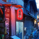 25cm Painting Lantern Japanese Style Fabric Hanging Restaurant Decor (B) Newly