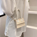 Mini Crossbody Bags Retro Print Straw Leather Handbags Chain Purse (Beige)