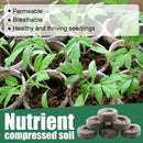 Nursery Soil Blocks - Mixed Pellets Garden Seeds Soil Blocks for Indoor Plants