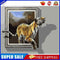 #A Tiger Oil Paint By Numbers Kit DIY Acrylic Painting on Canvas Drawing Pictu