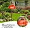 Bird Feeder Container Flower Sensation Orange Coneflower Metal Bird Feeder