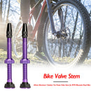 60mm Aluminum Tubeless Presta Valve Stem for Mountain Road Bike (Purple)