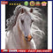 Fine Horse Oil Paint By Number DIY Acrylic Painting Home Decoration Wall Arts