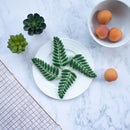 Baking Fondant Agave Ivy Turtle Leaf Shaped Biscuit Mold Cookie Embosser Mold