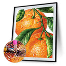 5D Diamond Painting Kit DIY fruit Full Round Drill Mosaic Picture Art