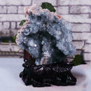 Madagascar Celestite Crystal druzy cluster sky Blue Geode x 1 Pc Mineral Y0F7