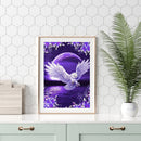 Oil Painting By Number Night Owl Oil Digital Picture Home Wall Decor for Gift