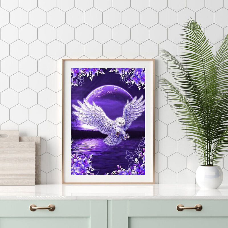 Oil Painting By Number Night Owl Oil Digital Picture Home Wall Decor for Gift