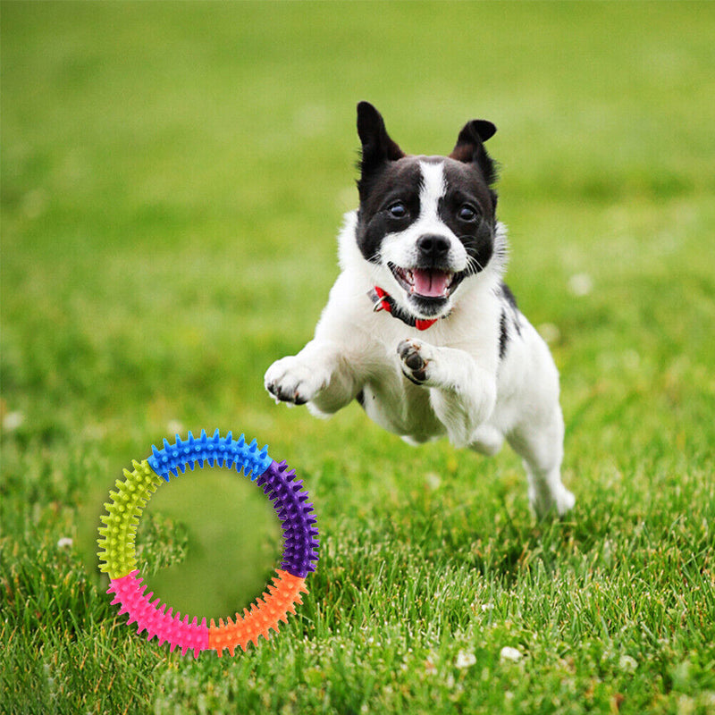 Pet TPR Training Ring Colorful Dog Cat Molar Chew Toys Teeth Cleaning Bite
