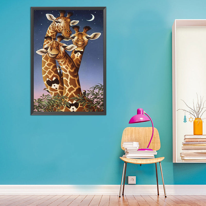 Mr Giraffes Oil Paint By Numbers Kits DIY Canvas Wall Art Picture Home Crafts