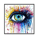 Full Embroidery Eco-Cotton Thread 11CT Counted DIY Color Eye Cross Stitch K