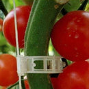 Tomato Veggie Garden Plant Support Clips For Trellis Twine S4F4 hot.