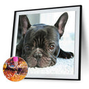 5D Diamond Painting Animal Full Square Rhinestone DIY Wall Home Decoration Gi
