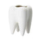 Tooth Shaped Ceramic Flower Pot Planter Plant Holder 7Y6R Succulen Flower Y0N9