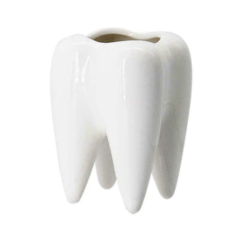 Tooth Shaped Ceramic Flower Pot Planter Plant Holder 7Y6R Succulen Flower Y0N9