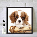 5D DIY Full Drill Diamond Painting Bored Puppy Cross Stitch Embroidery Mosa