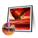 5D DIY Diamond Painting Kits Full Round Drill Eagle Mosaic Picture Wall Art
