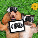 Foldable Dog Glasses UV Protect Goggles Eye Wear Sunglasses (Transparent) Newly