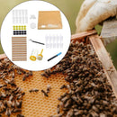 Cover Beekeeping Tool Set Rearing Cup Kit Bees Tools Queen Rearing Kit