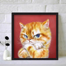 Full Round Drill Rhinestone Art DIY 5D Cat Diamond Painting Kit(A2420)
