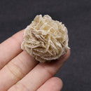 1/4 lb Bulk Desert Rose Selenite Stones Crystal Healing 4 Bud Stone) oz X5O1