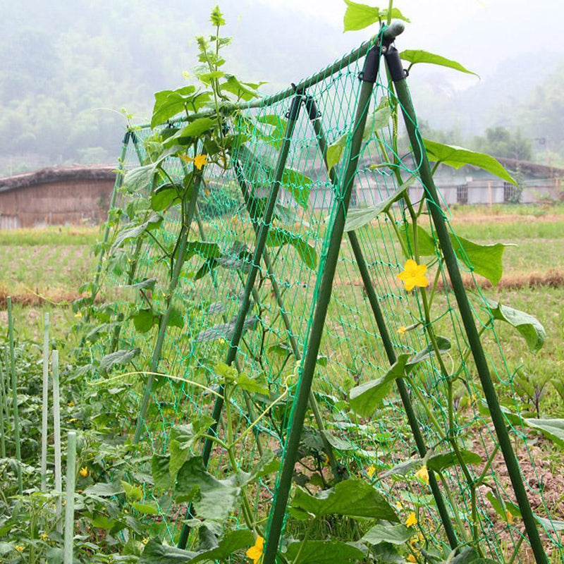 1.8x0.9m Garden Durable Nylon Trellis Net Support for Climbing Vine Plants