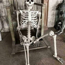 Halloween Props Skeleton Hanging Prop Haunted House Decor 75*20CM Haunted X0G4