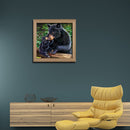 5D DIY Full Drill Diamond Painting Black Bear Embroidery Mosaic Handicraft Kit