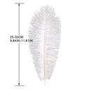 10pcs Fluffy Ostrich Feather Family Room DIY Jewelry Elegant Plume Feather De