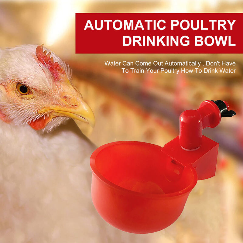 Chicken Water Cups Automatic Chicken Feeder Waterer for Poultry (12pcs) Newly